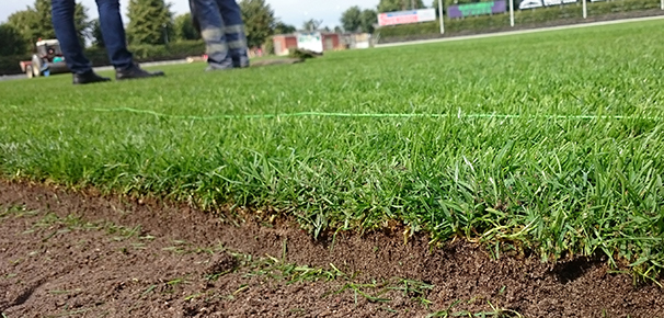 ProTurf Plus til Hvidovre